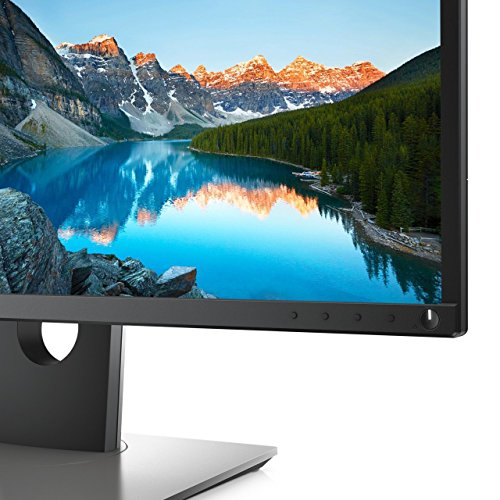 DELL 22" LED MONITOR P2217H